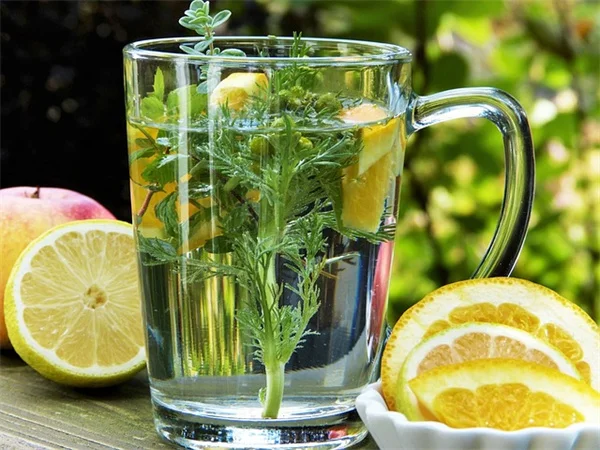 熱ストレスの植物に水やりは逆効果?プロが教える正しい対処法