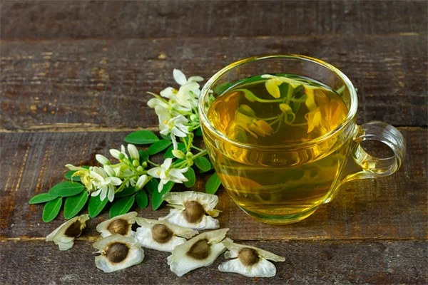 子どもが虫嫌いにならない！庭で実践できる虫の教え方