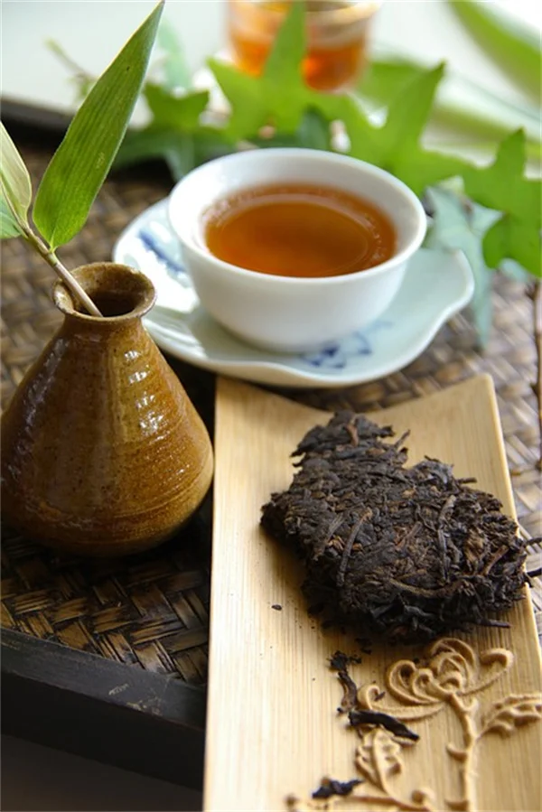 香り高い在来植物で庭を満たす簡単な育て方