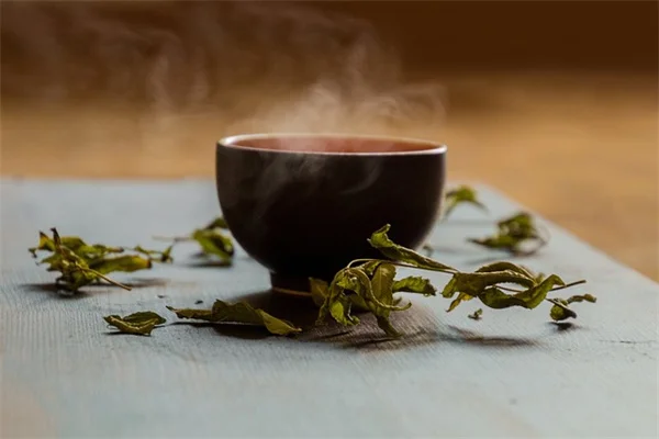 【実体験】福肯茶樹盆栽の育て方｜失敗しない剪定と冬越しのコツ