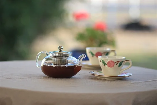 【実体験】福肯茶樹盆栽の育て方｜失敗しない剪定と冬越しのコツ