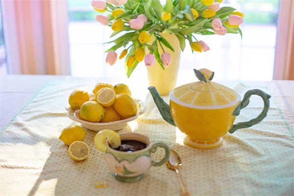 パステルカラーの植物で作る癒しの庭｜初めてでも失敗しない5つのコツ