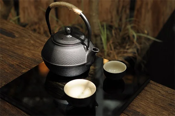 パステルカラーの植物で作る癒しの庭｜初めてでも失敗しない5つのコツ